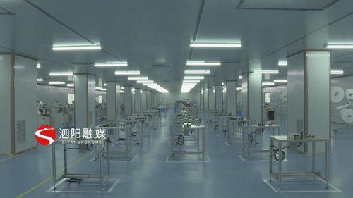 優(yōu)服務(wù)強(qiáng)項目，科技賦能 泗陽意楊產(chǎn)業(yè)科技園的高質(zhì)量發(fā)展之路