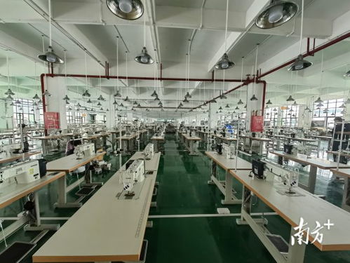 廣東AI賦能產(chǎn)業(yè)升級 以科技信息咨詢服務引爆融合新優(yōu)勢